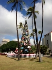 2012 Hawaii圣诞节
