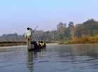 你好， 尼泊尔！（三）——奇特旺镇：独木舟、森林、大象养殖地、骑象 ... ... ...