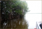 2014圣诞游记（三）沼泽探险--迈阿密大沼泽国家公园