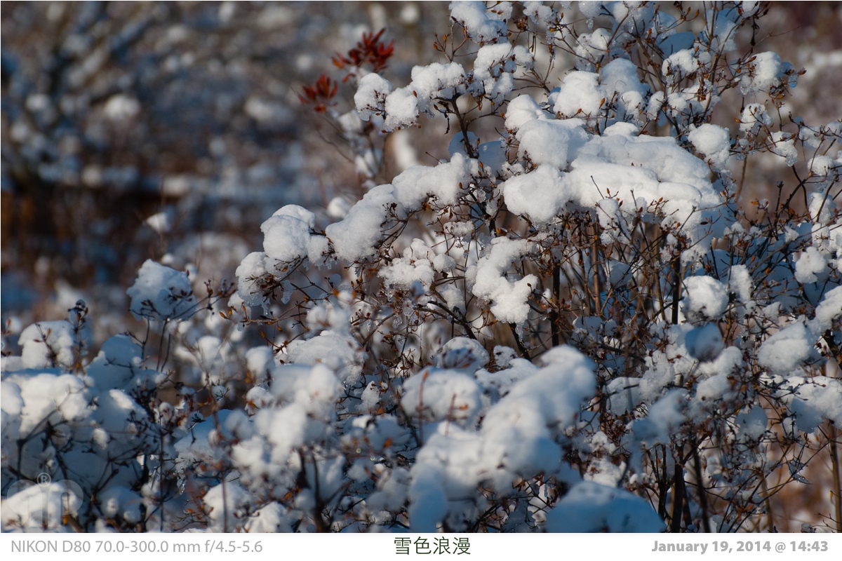 snowglow-03.jpg