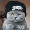 請講.gif